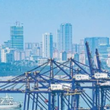海南自貿港政策中英文專題專欄